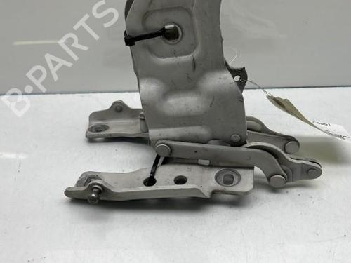 Hinge/Door check strap BMW X5 (E70)  | BP19950531C146 