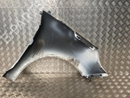 Used Left front fenders RENAULT SCÉNIC III (JZ0/1_) 1.5 dCi (110 hp) 20027540