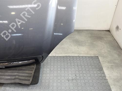 Hood CITROËN XSARA (N1) 2.0 HDi 90 | BP29501677C1 
