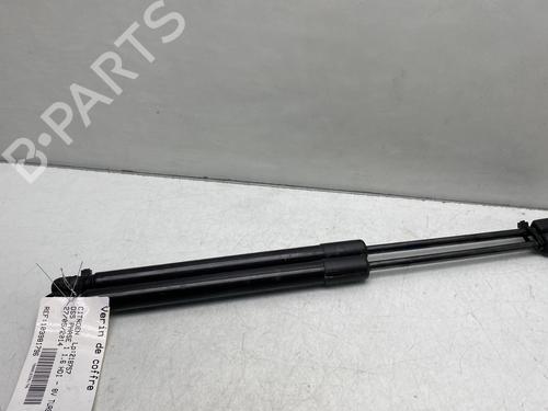 Tailgate lift support CITROËN DS5 1.6 HDi 115 | BP25813917C138 - Image 4