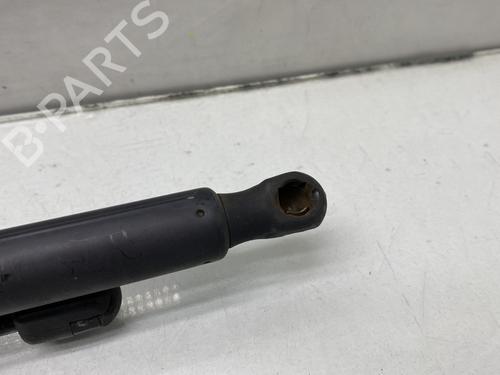 Tailgate lift support VW GOLF V (1K1)  | BP22408281C138 