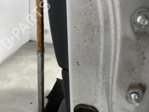 Left rear door NISSAN QASHQAI / QASHQAI +2 I (J10, NJ10, JJ10E) 1.5 dCi | BP21960263C4 