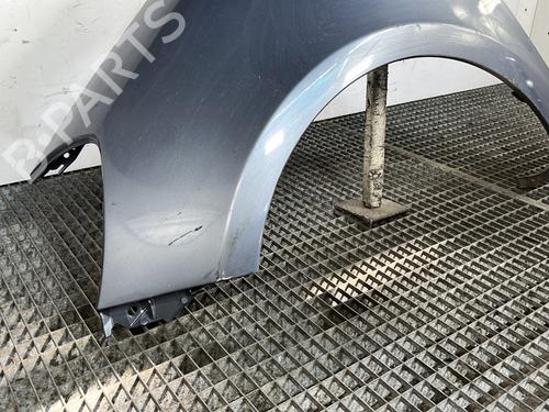 Left front fenders RENAULT CLIO III (BR0/1, CR0/1) 1.5 dCi (C/BR0G, C/BR1G) | BP28279472C41 