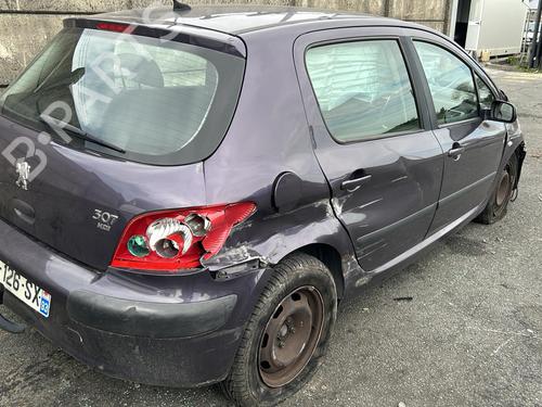 Rim PEUGEOT 307 (3A/C) 2.0 HDi 90 | BP21961012C45 