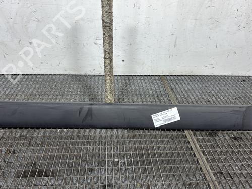 Türzierleiste für Türzierleiste PEUGEOT PARTNER MPV (5_, G_) 1.6 HDi 90 (90 hp) 33774199 33774199