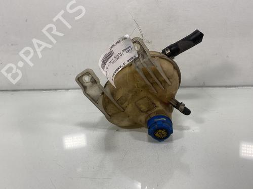 Used Expansion tank FIAT GRANDE PUNTO (199_) 1.2 (65 hp) 20851279