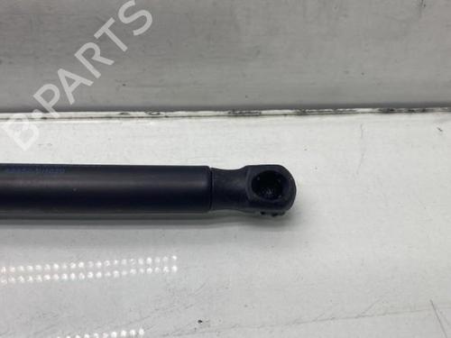 Tailgate lift support PEUGEOT 107 (PM_, PN_) 1.4 HDi | BP19968534C138 