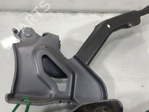 Hinge/Door check strap DACIA SANDERO III 1.0 SCe 65 | BP29995758C146