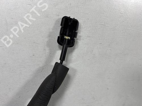 Rear left lock RENAULT LAGUNA III (BT0/1) 2.0 dCi (BT01, BT08, BT09, BT0E, BT0K, BT12, BT1C, BT1D,... | BP30910434C100