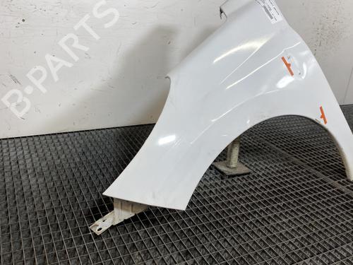 Left front fenders PEUGEOT 207 (WA_, WC_) 1.4 HDi | BP22700289C41