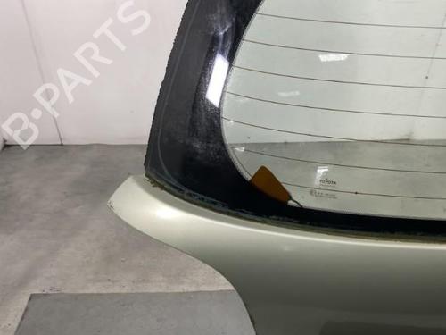 Used Tailgate Tailgate 21145019 21145019