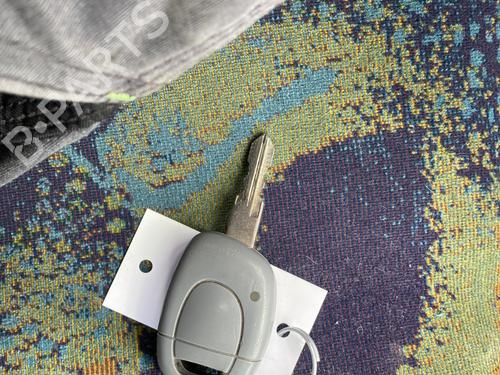 Door moulding trim RENAULT TWINGO I (C06_) 1.2 (C066, C068) | BP30181095C150