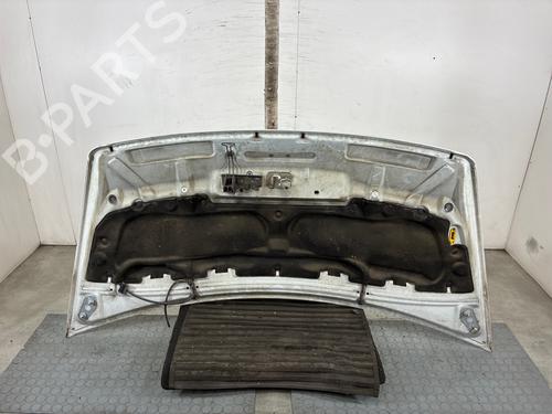 Capot Capot RENAULT MASTER III Van (FV) 2.3 dCi 100 FWD (FV0A, FV0B, FV0G, FV0K, FV0H) (101 hp) 34637479 34637479