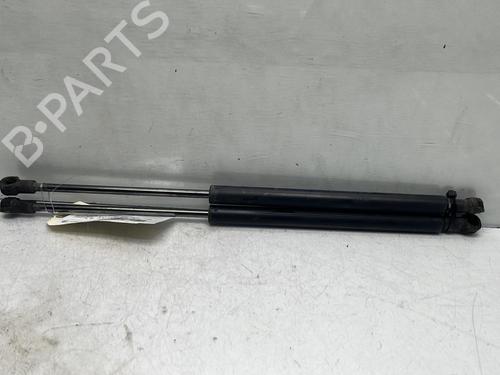 Tailgate lift support SUZUKI IGNIS III (MF, FF) 1.2 Hybrid AllGrip (ATK412) | BP19954385C138