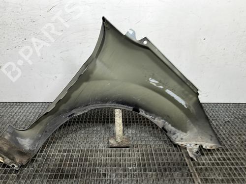 Left front fenders FORD FIESTA VI (CB1, CCN) 1.6 TDCi | BP29456236C41 