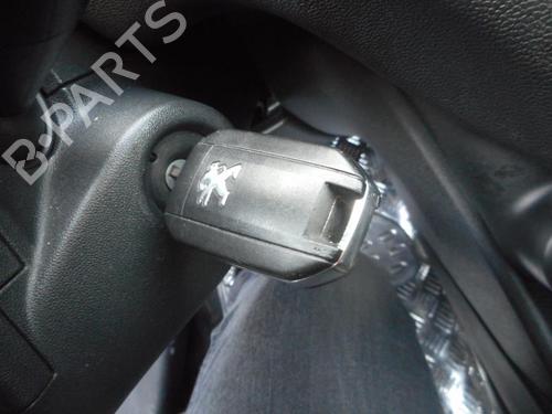 Hinge/Door check strap PEUGEOT 208 I (CA_, CC_) 1.6 HDi | BP20032978C146