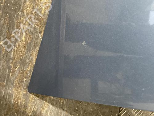 Hood DACIA SANDERO 1.5 dCi | BP21956451C1 