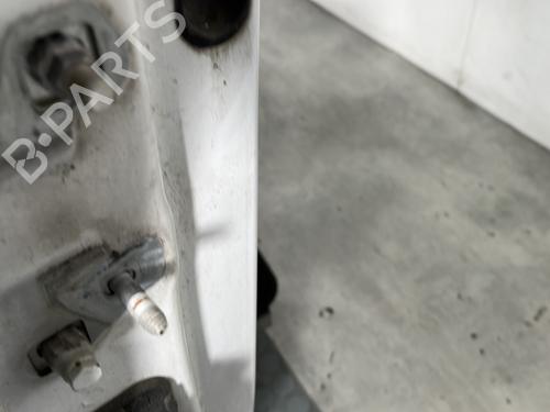 Right front door RENAULT CLIO III (BR0/1, CR0/1) 1.5 dCi | BP28353374C3 