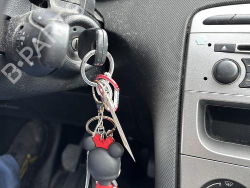 Tailgate PEUGEOT 308 I (4A_, 4C_) 1.6 HDi | BP28441668C6 