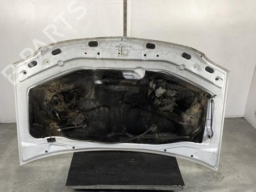 Capot DACIA LOGAN EXPRESS (FS_) [2007-2025]  30107345