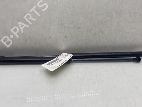 Tailgate lift support PEUGEOT 206 Hatchback (2A/C)  | BP19967301C138 