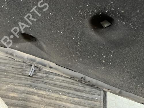 Hood OPEL INSIGNIA A (G09) 2.0 CDTI (68) | BP30674942C1 