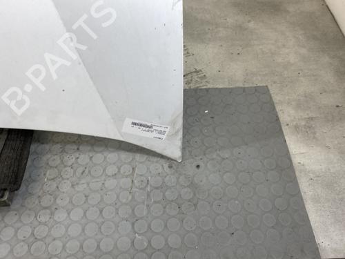 Hood RENAULT KANGOO (KC0/1_) D 55 1.9 (KC0D) | BP23440988C1