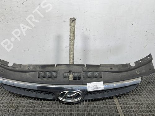 Grill HYUNDAI i30 (FD) 1.6 CRDi (90 hp) 28282636