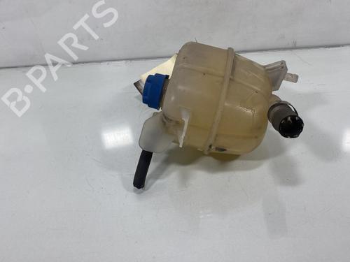 Expansion tank PEUGEOT BIPPER (AA_) 1.3 HDi 75 | BP19983194C120 