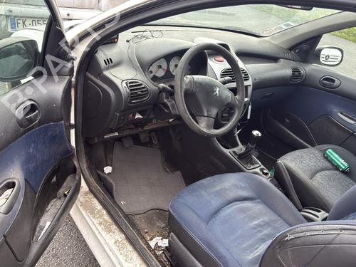 Right front door PEUGEOT 206 Hatchback (2A/C) 1.9 D | BP29279101C3 