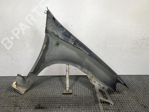 Left front fenders FIAT PUNTO (188_) 1.2 60 (188.030, .050, .130, .150, .230, .250) | BP29178318C41 