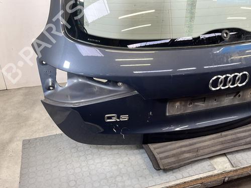 Tailgate AUDI Q5 (8RB) 2.0 TDI quattro | BP28704595C6 