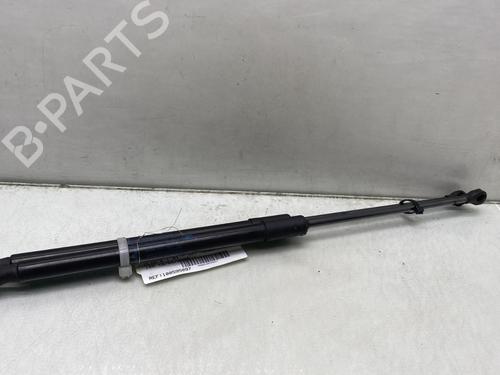 Used Tailgate lift support RENAULT CLIO V (B7_) 1.0 TCe 100 (B7MT) (101 hp) 23765601