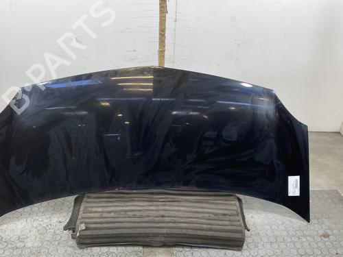 Used Hood RENAULT KANGOO / GRAND KANGOO II (KW0/1_) 1.5 dCi 85 (KW0K, KW0L, KW0B) (86 hp) 24111269