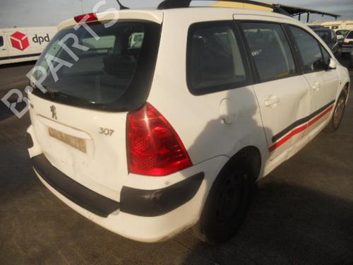 Left rear door PEUGEOT 307 Break (3E)  | BP20005369C4 