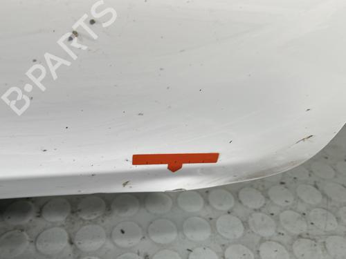 Right front door RENAULT CLIO III (BR0/1, CR0/1) 1.5 dCi | BP28353374C3 