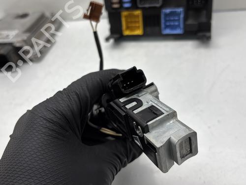 Electronic module PEUGEOT 308 II (LB_, LP_, LW_, LH_, L3_) 1.5 BlueHDi 130 | BP31602125M83