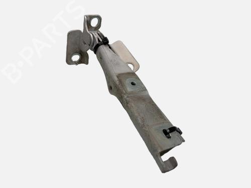 hingedoor-check-strap-citroen-ds3-sa_-2009-2010-2011-2012-2013-2014-2015-2016-40499139 main image