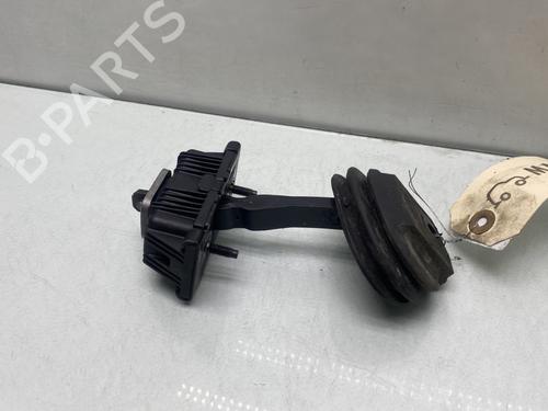 Hinge/Door check strap PEUGEOT 407 Coupe (6C_) 2.0 HDi | BP29465656C146 
