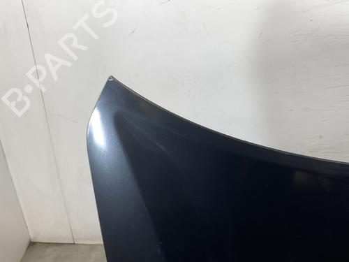 hood-renault-koleos-i-hy_-2008-26020376 main image