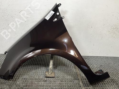 Used Left front fenders RENAULT CLIO III (BR0/1, CR0/1) 1.5 dCi (BR17, CR17) (86 hp) 30294058