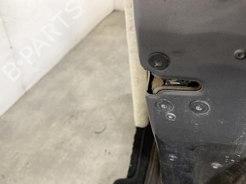Right front door RENAULT SCÉNIC III (JZ0/1_) 1.9 dCi (JZ0J, JZ1J, JZ1K, JZ1S) | BP28280782C3 