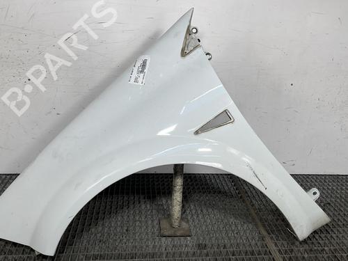 Left front fenders RENAULT MEGANE II Estate (KM0/1_) 1.5 dCi (KM16, KM1E) | BP27816740C41 