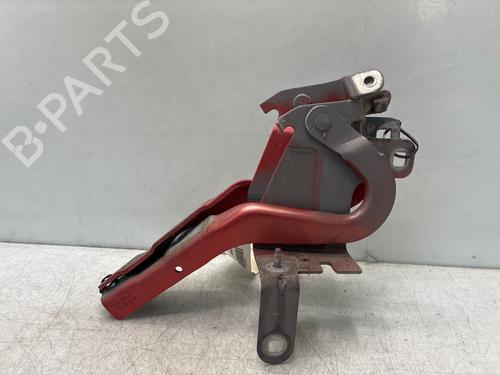 hingedoor-check-strap-renault-clio-iv-bh_-2012-2013-2014-2015-2016-2017-2018-2019-2020-2021-36863019 main image