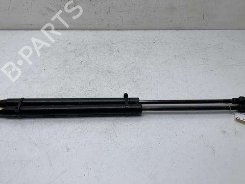 Gasdæmper bagklap FIAT 500 (312_) 1.3 D Multijet (312AXE1A) (95 hp) 19974879