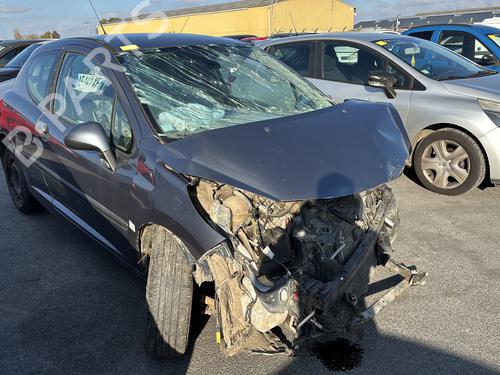 Door moulding trim PEUGEOT 207 (WA_, WC_) 1.6 HDi | BP29841785C150