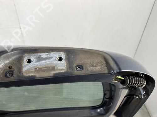 Tailgate CITROËN BERLINGO / BERLINGO FIRST MPV (MF_, GJK_, GFK_) 1.6 HDI 90 (MF9HX) | BP28282071C6 
