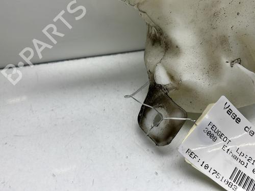 Windscreen washer tank PEUGEOT 3008 I MPV (0U_) 1.6 VTi | BP24294908C113 