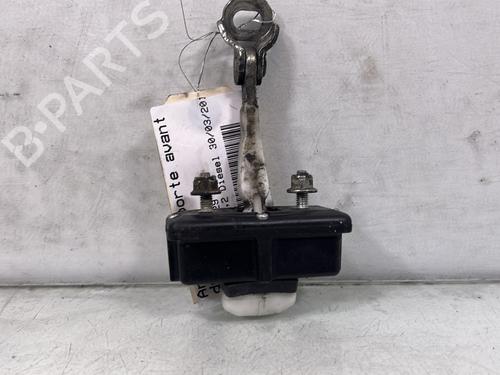 hingedoor-check-strap-fiat-punto-evo-199_-2008-24144337 main image