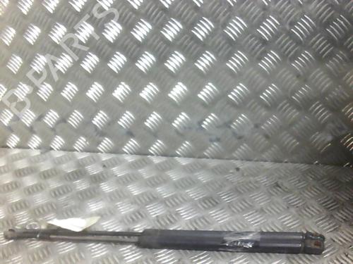 Used Tailgate lift support VW GOLF III (1H1) [1989-1998]  20031113